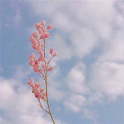 彩神lllv入口下载手机版