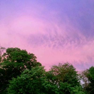 快三软件平台官方