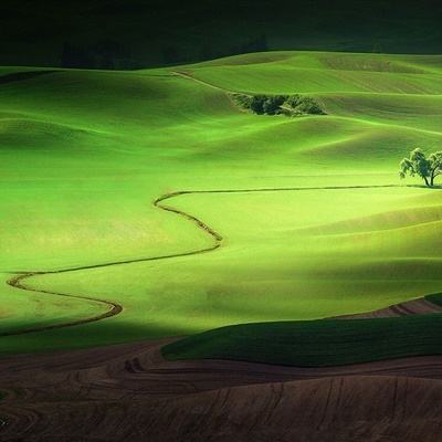 kok中欧登录入口下载手机版