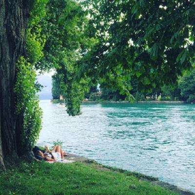 江南APP手机app下载