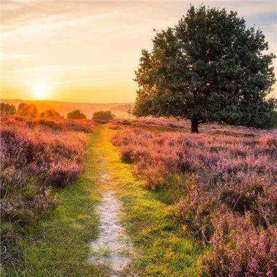 大发dafa888下载手机版