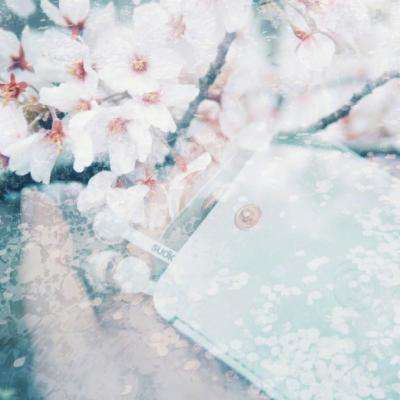 博鱼中国体育官网登录